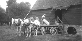 Picture of Horses and Cart from museum collection